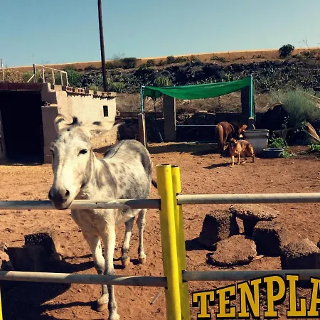 Tenplata Tijoco de Abajo