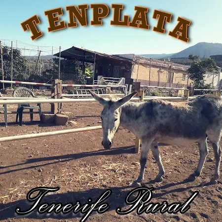 Vakantiehuis Tenplata *